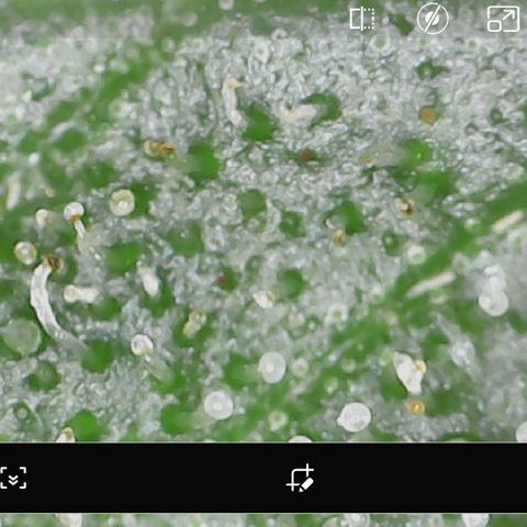 Durbin Poison  growlog photo: Getting a little cloudy. 