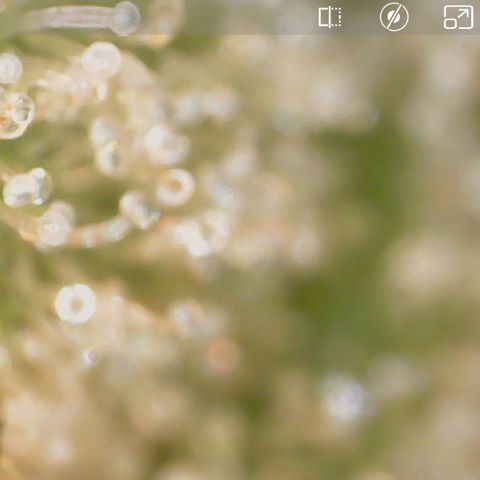 Durbin Poison  growlog timeline photo