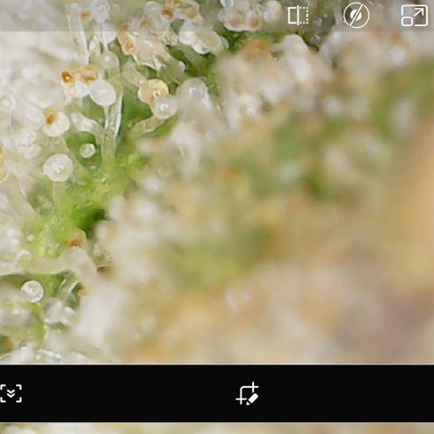 Durbin Poison  growlog timeline photo