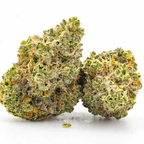 Lilac Diesel growlog timeline photo