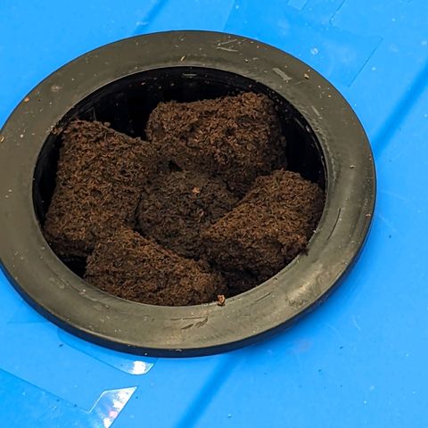 FX3 -FSTS x Solfire Cup 2023  growlog timeline photo
