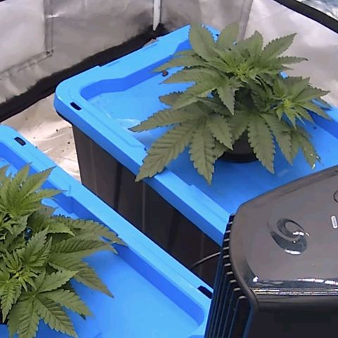 FX3 -FSTS x Solfire Cup 2023  growlog timeline photo