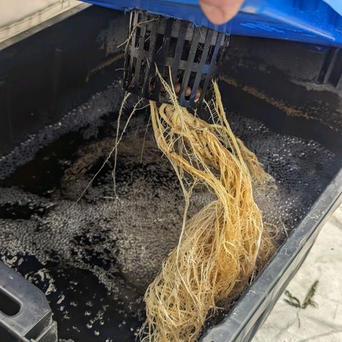 FX3 -FSTS x Solfire Cup 2023  growlog timeline photo