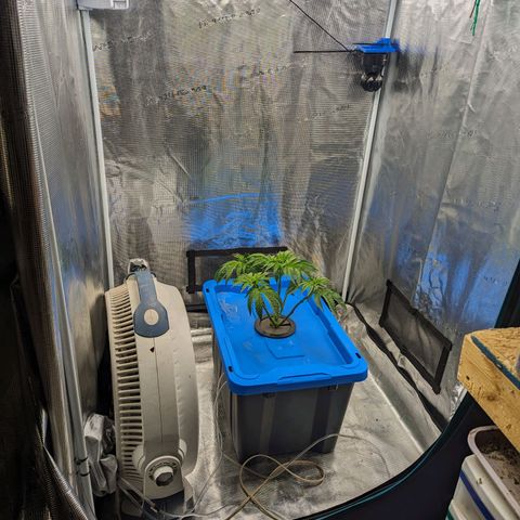 FX3 -FSTS x Solfire Cup 2023  growlog timeline photo