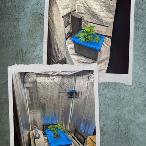 FX3 -FSTS x Solfire Cup 2023  growlog timeline photo