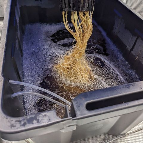 FX3 - FSTS x Solfire Cup 2023 #2 growlog timeline photo