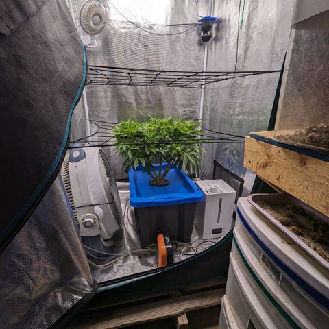 FX3 - FSTS x Solfire Cup 2023 #2 growlog timeline photo