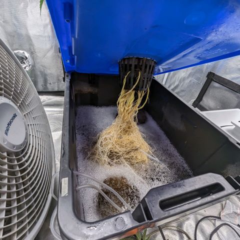 FX3 - FSTS x Solfire Cup 2023 #2 growlog timeline photo