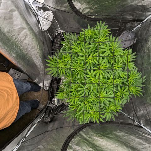 FX3 -FSTS x Solfire Cup 2023  growlog timeline photo