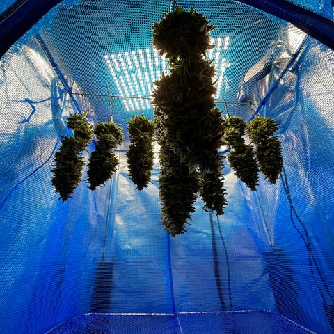 A primeira growlog timeline photo