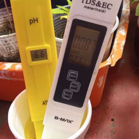 Prenseed #2 growlog timeline photo