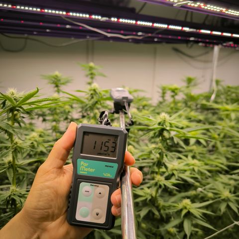 Channel + growlog photo