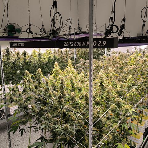 Channel + growlog timeline photo