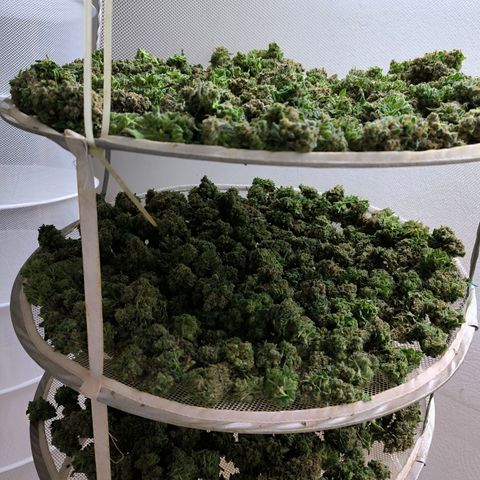 Channel + growlog timeline photo