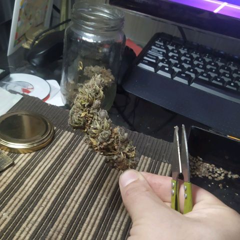 Cristina growlog photo: Manicure