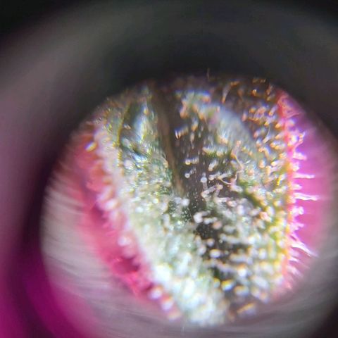 Bruce Banner  growlog timeline photo