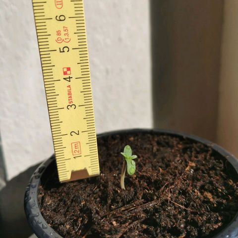 Jacky growlog timeline photo