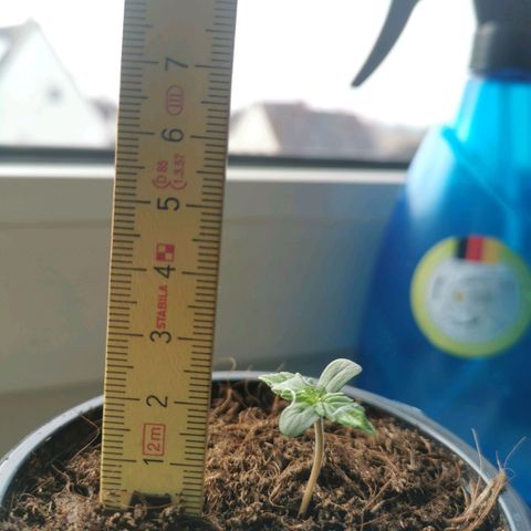 Jacky growlog timeline photo
