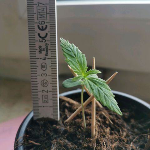 Jacky growlog timeline photo
