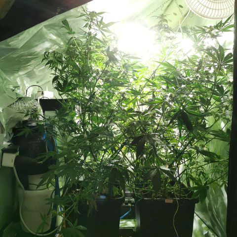 Jacky growlog timeline photo