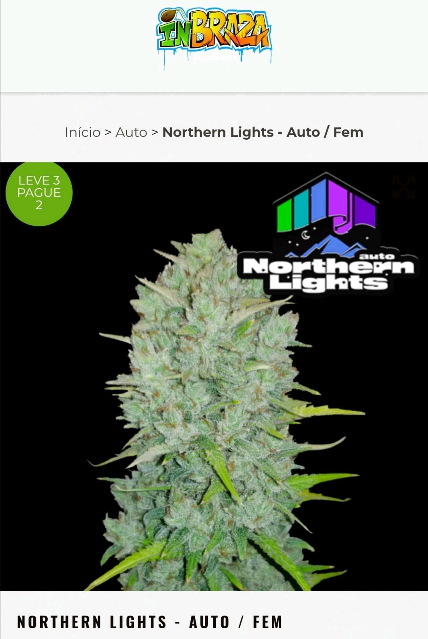 Auto Northern Lights 1 - In Braza growlog header