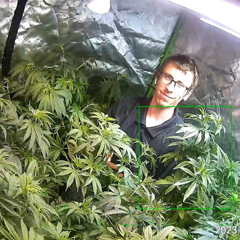 Rancid Rainbow #1 growlog timeline photo