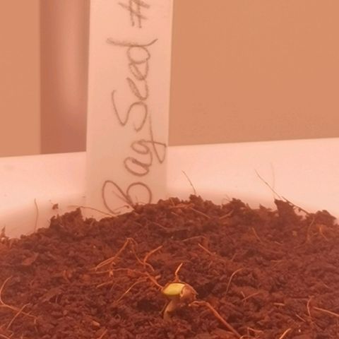 Unbekannte #2 & #3 growlog timeline photo