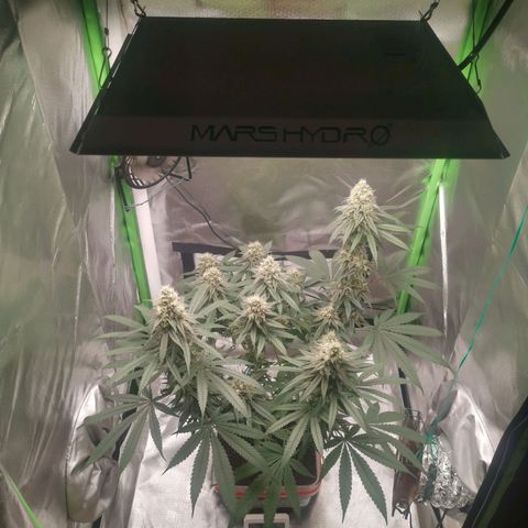 Unbekannte #1  growlog timeline photo
