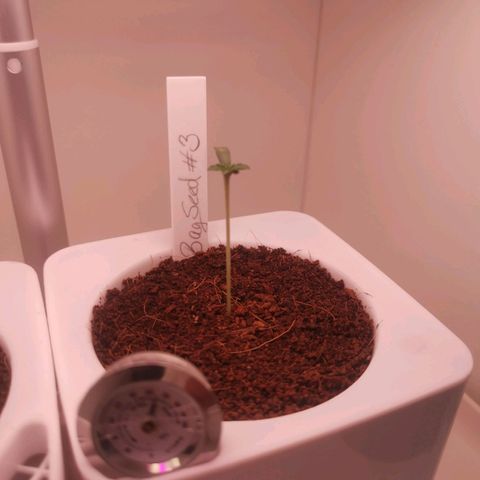 Unbekannte #2 & #3 growlog timeline photo