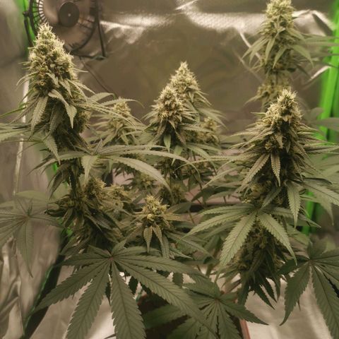 Unbekannte #1  growlog photo: Seit gestern is die süße auf Diät & bekommt nur noch Wasser. 