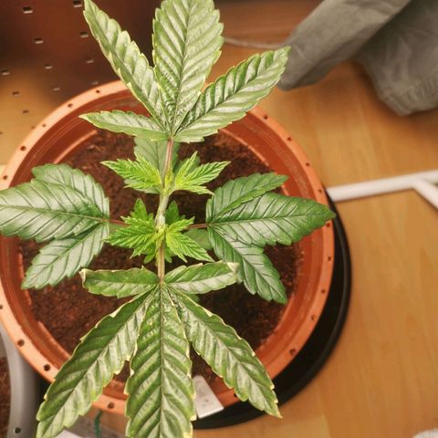Unbekannte #2 & #3 growlog timeline photo