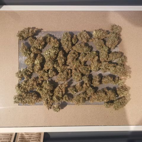Unbekannte #1  growlog timeline photo