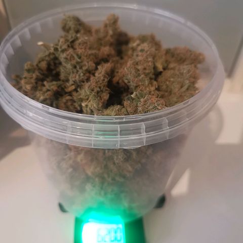 Unbekannte #1  growlog timeline photo