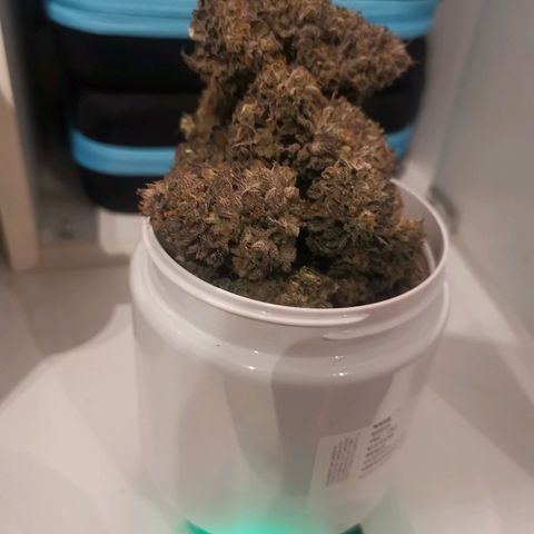 Unbekannte #2 & #3 growlog timeline photo
