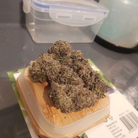 Unbekannte #2 & #3 growlog timeline photo