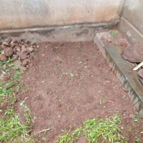 South Africa growlog photo: Fresh seeds planted