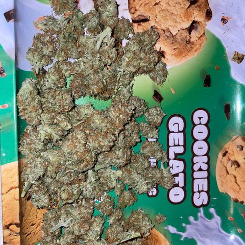 Cookies Gelato Automatic growlog timeline photo