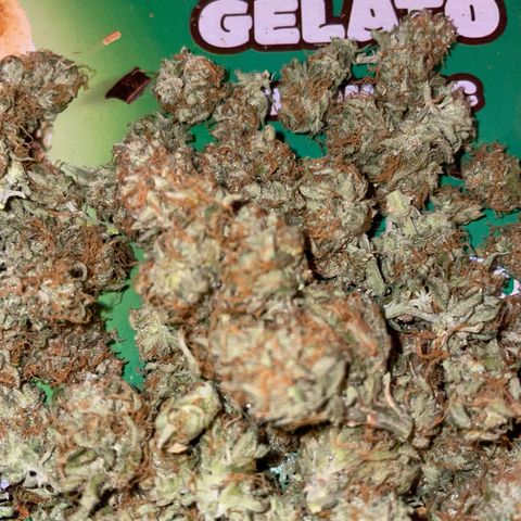 Cookies Gelato Automatic growlog timeline photo