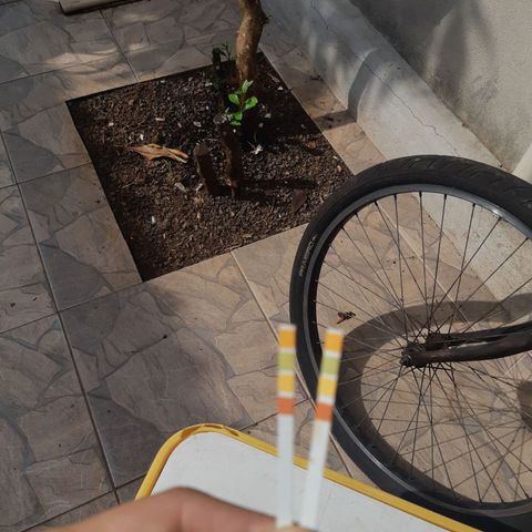 Prenseed 01 growlog photo: Ph 7