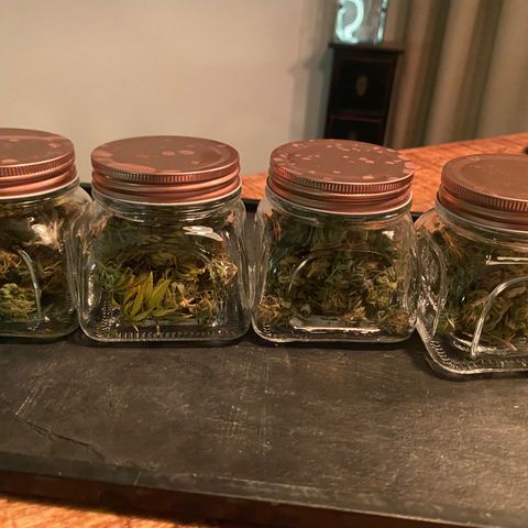 LSD Auto growlog photo:   40 g