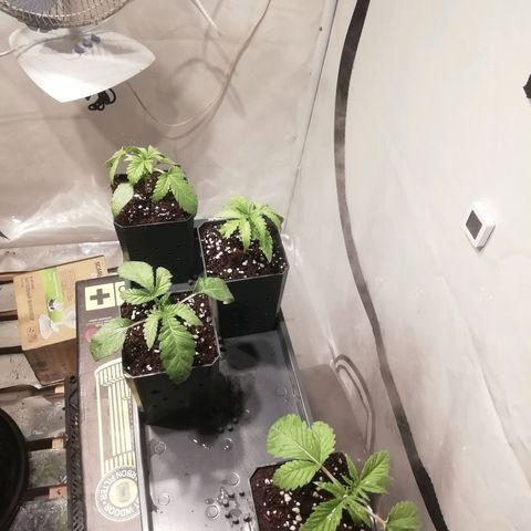 СуперФотик  growlog photo: Полет нормальный 