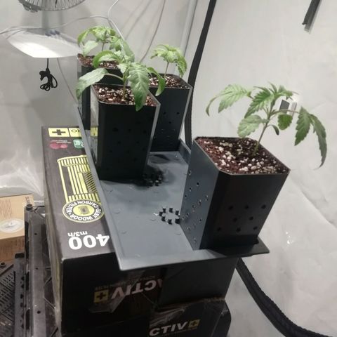 СуперФотик  growlog photo: Полет нормальный 