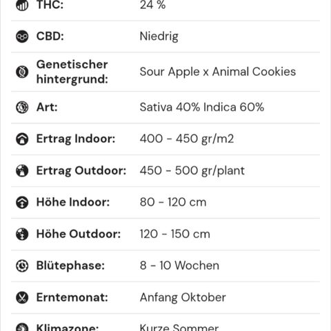 Apple Fritter Auto - Outdoor - BioTabs & Kompost growlog photo