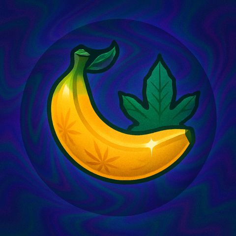 Banana - Photo - BioTabs Perfect Plant - DryFerm Bag growlog timeline photo