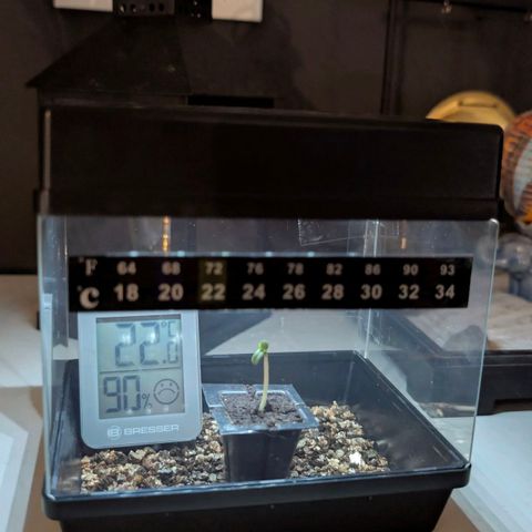 Do-Si-Dos Auto - Outdoor growlog photo