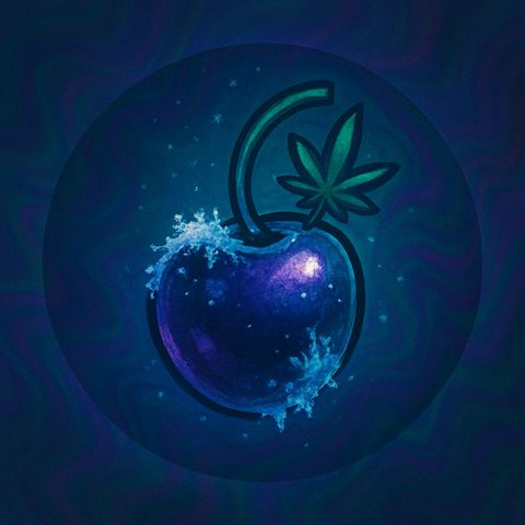 Frozen Black Cherry - 3 Pflanzen  growlog photo