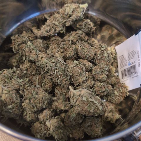 Do-Si-Dos Auto - Outdoor growlog timeline photo