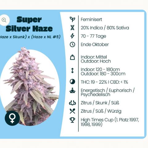 3x Super Silver Haze - Ac Infiinty AI+ - Autopot - Biotabs - Dryferm Bags growlog photo