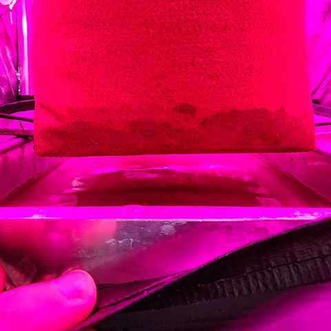Peyote Wi-Fi growlog photo: Esperando secar para remover a agua