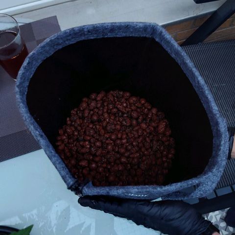 Dosi growlog timeline photo